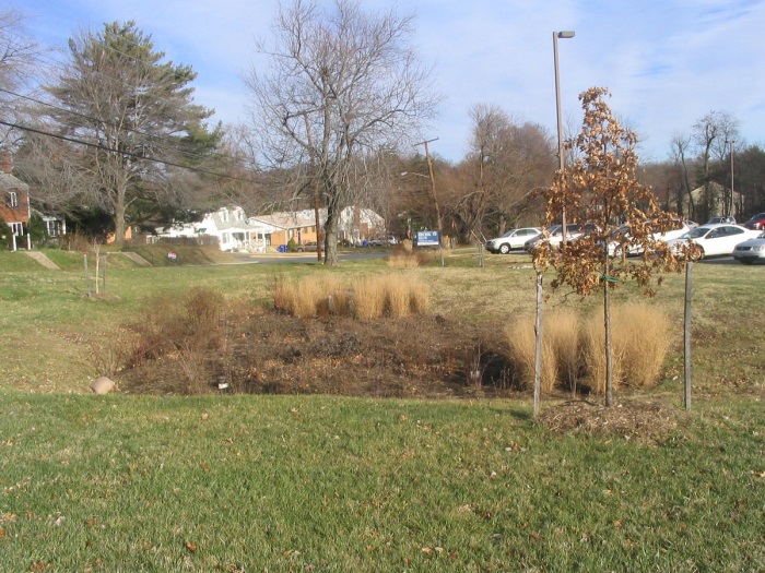 Lawn rain garden